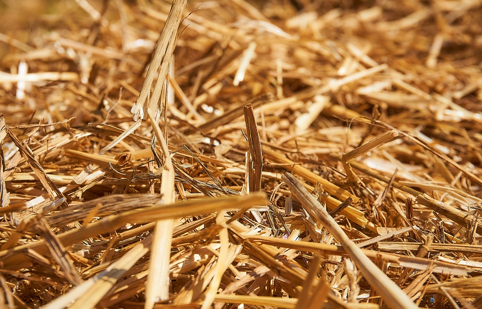 Close up view of straw