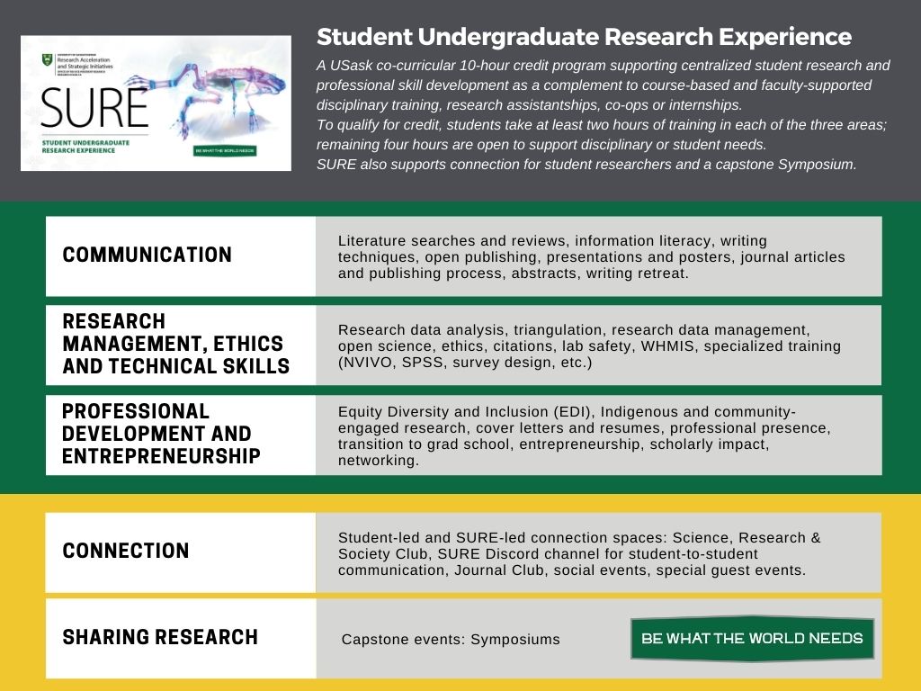 undergraduate research experience program