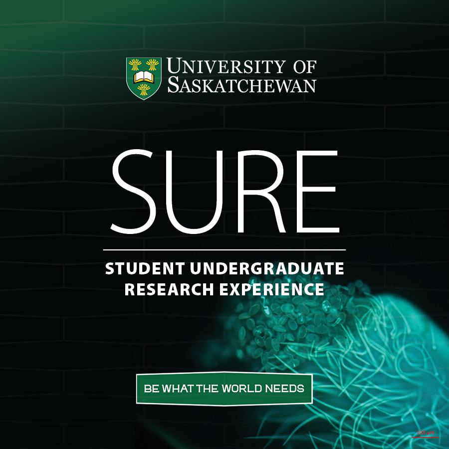 sure_square.jpg